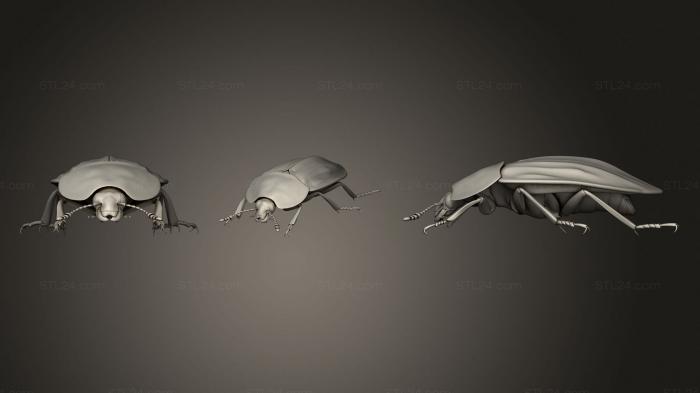 Статуэтки животных (Жук 7 002, STKJ_1919) 3D модель для ЧПУ станка