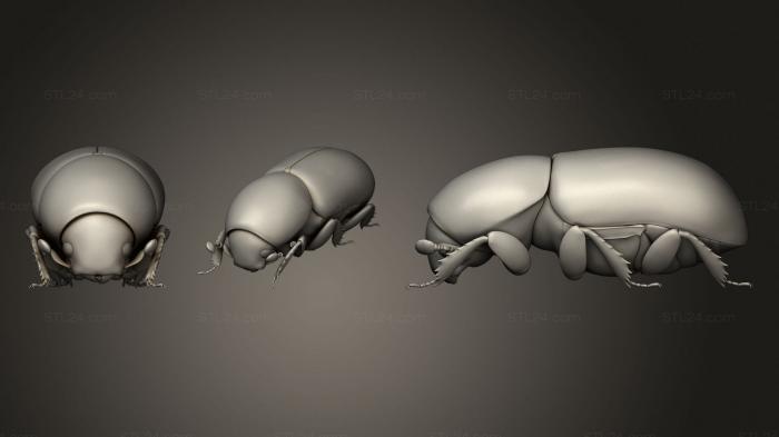 Статуэтки животных (Жук 8 001, STKJ_1920) 3D модель для ЧПУ станка