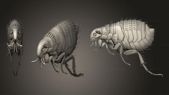 Animal figurines (Beetle 12 001, STKJ_1930) 3D models for cnc