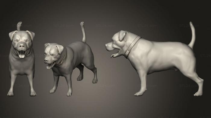 Статуэтки животных (Черная собака, STKJ_1941) 3D модель для ЧПУ станка
