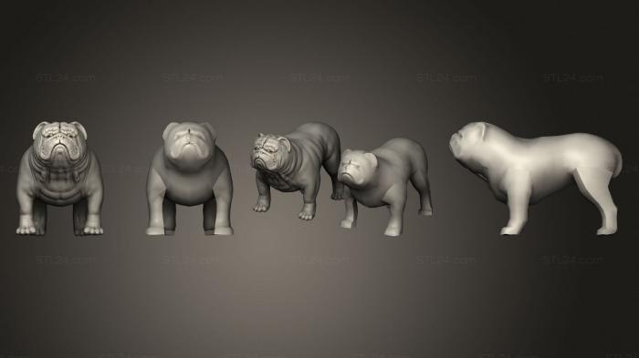 Статуэтки животных (Бульдог 3, STKJ_1965) 3D модель для ЧПУ станка