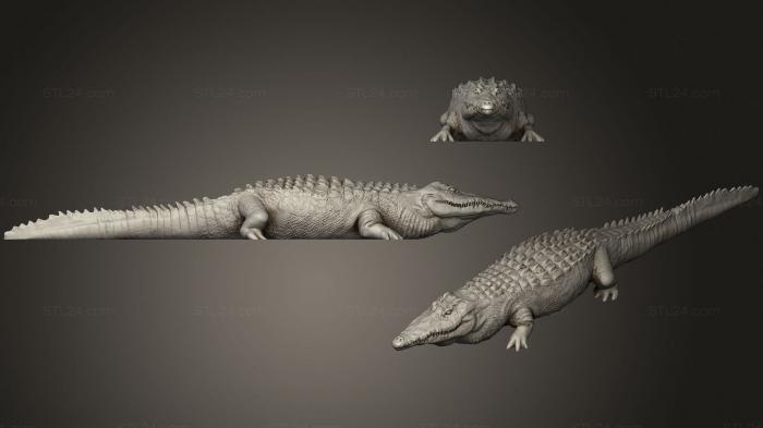 Статуэтки животных (Грубый крокодил во все тело 2, STKJ_2050) 3D модель для ЧПУ станка