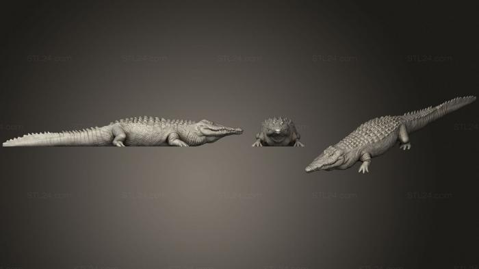 Статуэтки животных (Полное тело крокодила грубое, STKJ_2051) 3D модель для ЧПУ станка