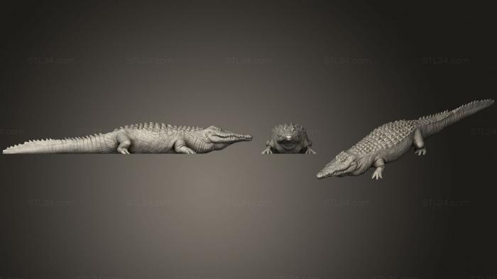 Статуэтки животных (Грубое полное тело крокодила, STKJ_2052) 3D модель для ЧПУ станка