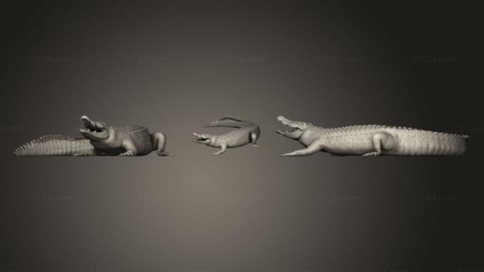 Статуэтки животных (Крокодил, STKJ_2056) 3D модель для ЧПУ станка