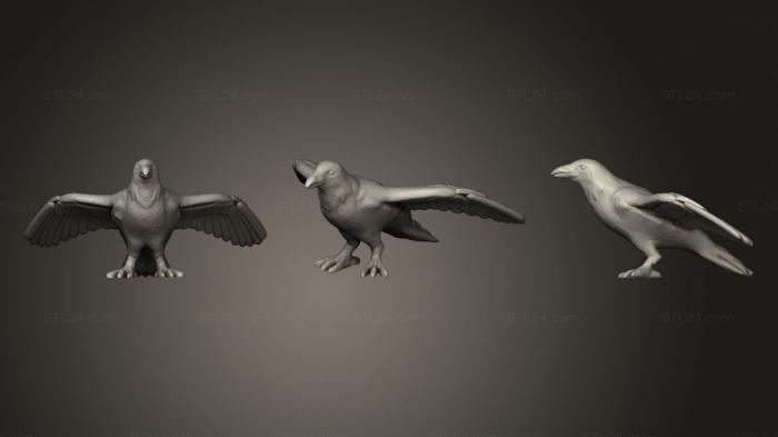 Статуэтки животных (Ворона Расправляет Крылья, STKJ_2057) 3D модель для ЧПУ станка
