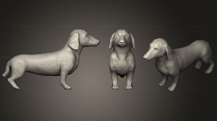 Статуэтки животных (Такса, STKJ_2070) 3D модель для ЧПУ станка