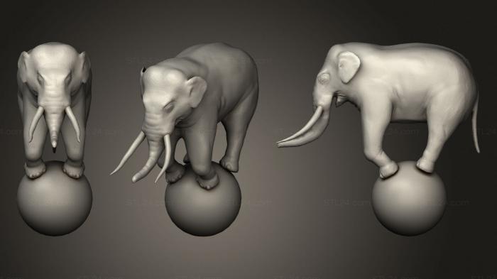 Статуэтки животных (Цирковой Слон, STKJ_2074) 3D модель для ЧПУ станка