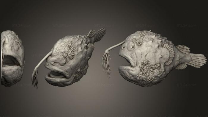 Dead Anglerfish 2