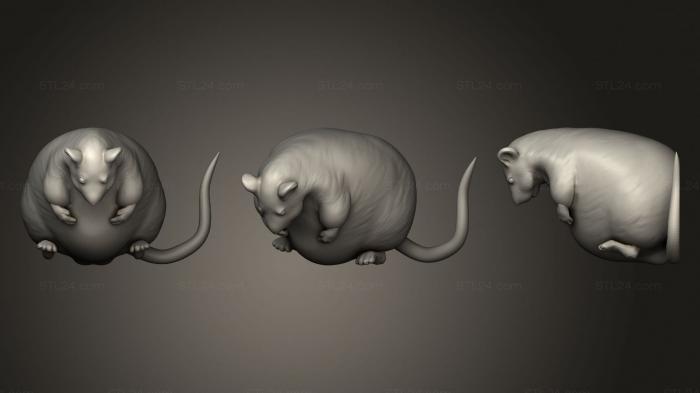 Статуэтки животных (Дамбо-Крыса И Хомяк, STKJ_2139) 3D модель для ЧПУ станка