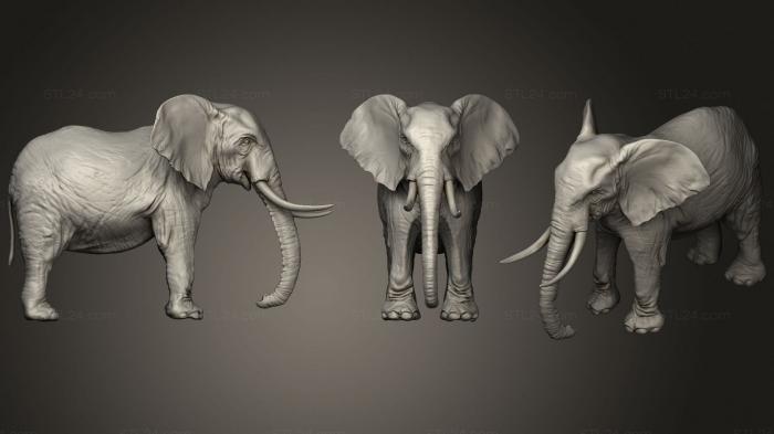 Статуэтки животных (Боевой слон, STKJ_2150) 3D модель для ЧПУ станка