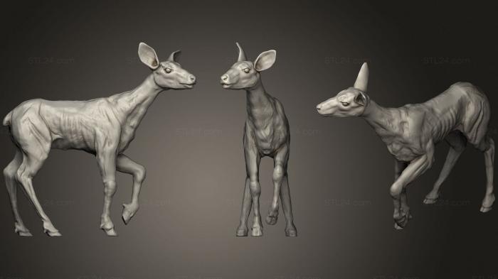 Fawn Posed Rough 2 2