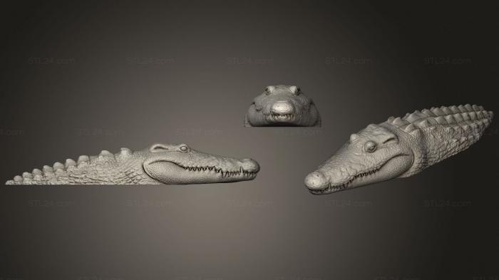 Статуэтки животных (Гноящийся Болотный Крокодил, STKJ_2168) 3D модель для ЧПУ станка