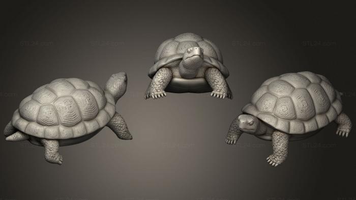 Статуэтки животных (Гноящаяся Болотная Черепаха, STKJ_2169) 3D модель для ЧПУ станка