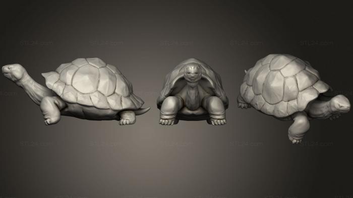 Статуэтки животных (Гигантская Черепаха 2, STKJ_2220) 3D модель для ЧПУ станка