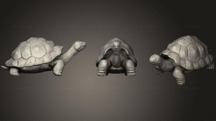 Статуэтки животных (Гигантская Черепаха, STKJ_2221) 3D модель для ЧПУ станка