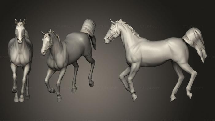 Статуэтки животных (Лошадь, STKJ_2257) 3D модель для ЧПУ станка
