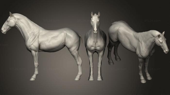 Статуэтки животных (Лошадь, STKJ_2259) 3D модель для ЧПУ станка