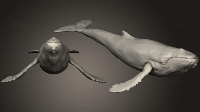 Статуэтки животных (Горбатый кит 2 99, STKJ_2270) 3D модель для ЧПУ станка