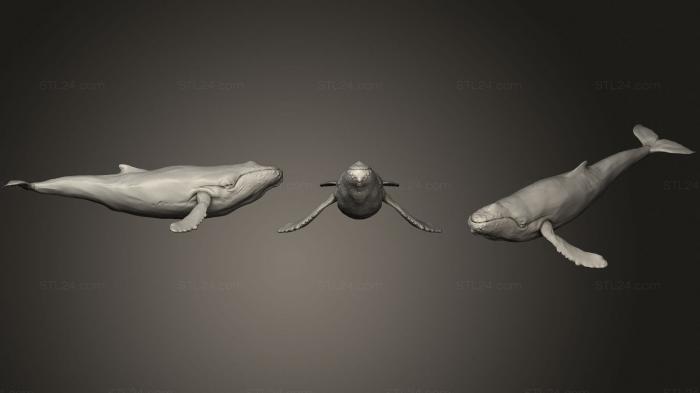 Статуэтки животных (Горбатый Кит, STKJ_2272) 3D модель для ЧПУ станка