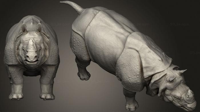 Статуэтки животных (Скульптура индийского Носорога, STKJ_2279) 3D модель для ЧПУ станка