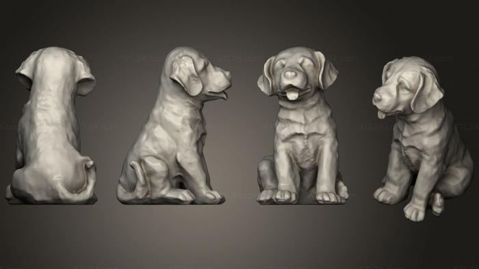 Статуэтки животных (Щенок лабрадора, STKJ_2304) 3D модель для ЧПУ станка