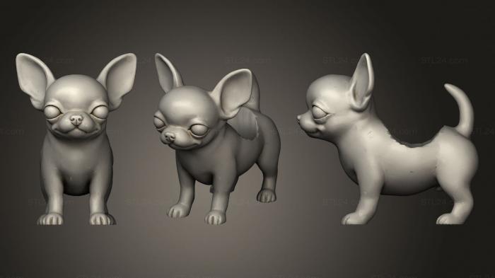 Статуэтки животных (Горшок чихуахуа Лариве, STKJ_2332) 3D модель для ЧПУ станка