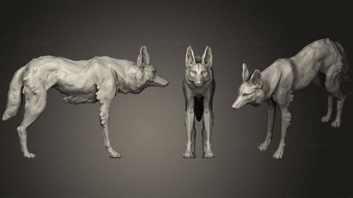 Animal figurines (Maned Wolf 121, STKJ_2345) 3D models for cnc