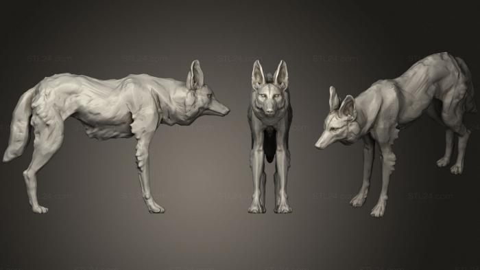 Статуэтки животных (Гривастый Волк 173, STKJ_2346) 3D модель для ЧПУ станка