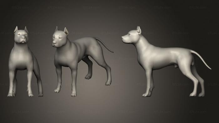 Статуэтки животных (ПИТБУЛЬ 22, STKJ_2401) 3D модель для ЧПУ станка