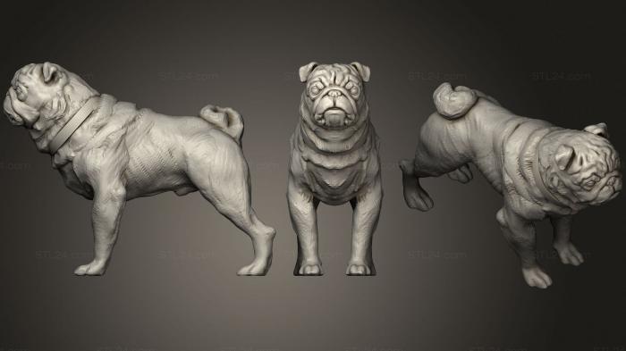Animal figurines (Pug 2 2 (2), STKJ_2411) 3D models for cnc