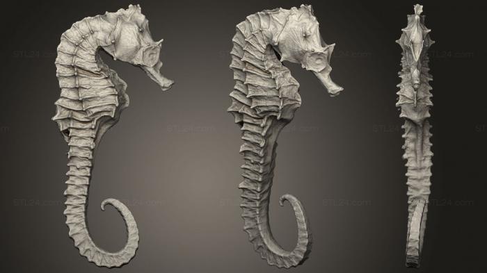 Animal figurines (Sea horse 2, STKJ_2445) 3D models for cnc