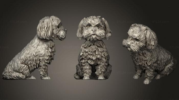 Animal figurines (Shih tzu 2, STKJ_2460) 3D models for cnc