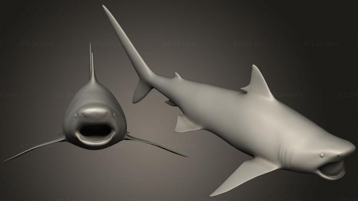 Animal figurines (Tiger Shark Game Ready, STKJ_2533) 3D models for cnc