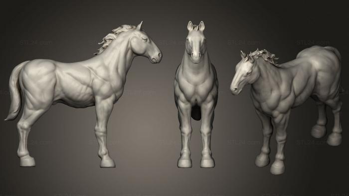 Статуэтки животных (Боевой конь 2, STKJ_2570) 3D модель для ЧПУ станка