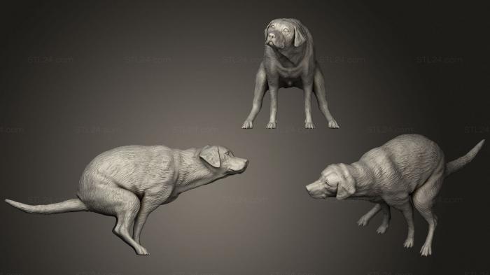 Animal figurines (A pooping dog, STKJ_2587) 3D models for cnc