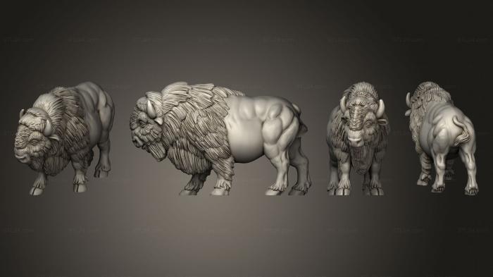 Animal figurines (american buffalo 02, STKJ_2598) 3D models for cnc