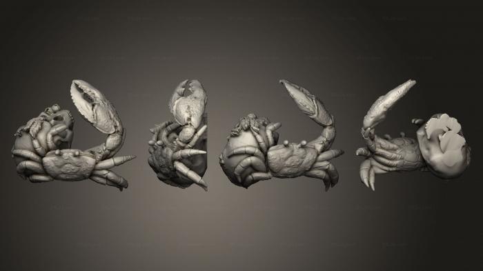 Статуэтки животных (Бусидо Юнга Пираты-Крабы Восточного моря 3, STKJ_2672) 3D модель для ЧПУ станка