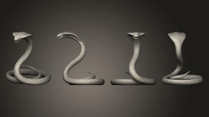 Animal figurines (Cemetery Statue Sleeping Angel and King Cobra, STKJ_2701) 3D models for cnc