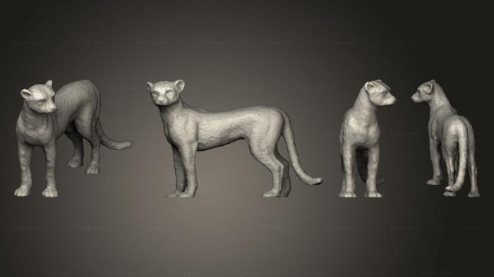 Статуэтки животных (Гепард, STKJ_2703) 3D модель для ЧПУ станка