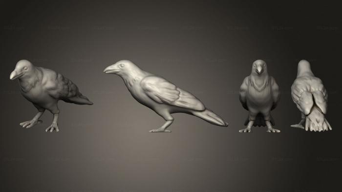 Статуэтки животных (Ворона v 3, STKJ_2744) 3D модель для ЧПУ станка