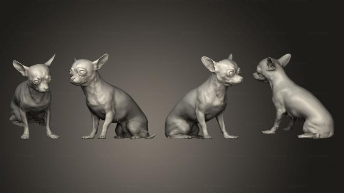 Статуэтки животных (Собака 02, STKJ_2770) 3D модель для ЧПУ станка
