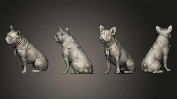 Статуэтки животных (Собака 03, STKJ_2771) 3D модель для ЧПУ станка