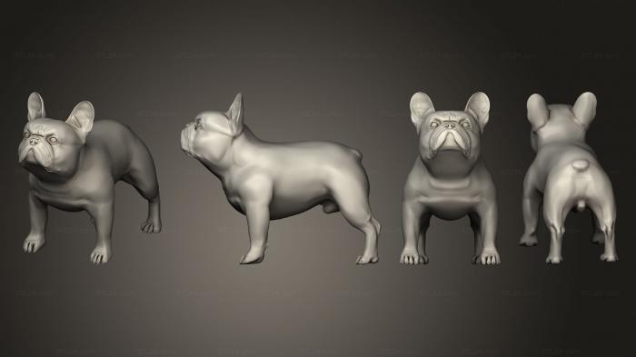 Статуэтки животных (Французский бульдог, STKJ_2817) 3D модель для ЧПУ станка