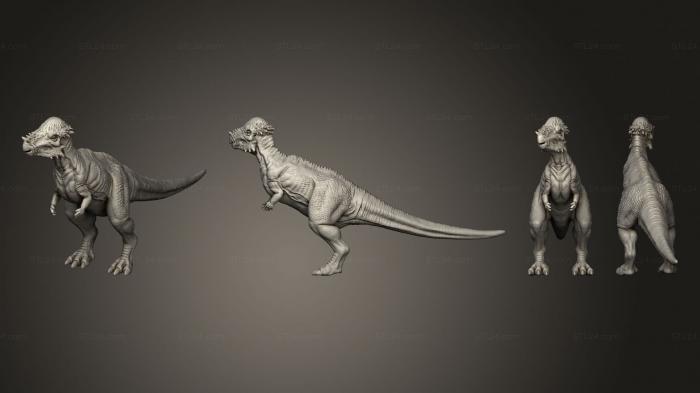 Статуэтки животных (Пахицефалозавриды Поза 1, STKJ_3006) 3D модель для ЧПУ станка