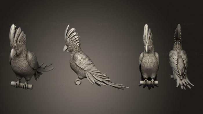Статуэтки животных (Попугай какаду, STKJ_3022) 3D модель для ЧПУ станка