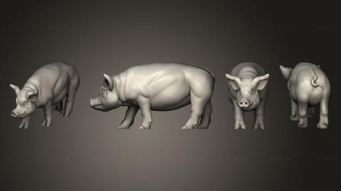 Статуэтки животных (СВИНЬЯ 2, STKJ_3023) 3D модель для ЧПУ станка