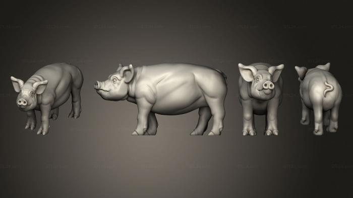 Статуэтки животных (СВИНЬЯ 3, STKJ_3024) 3D модель для ЧПУ станка