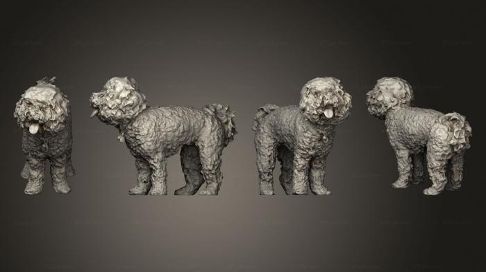 Статуэтки животных (Пудель 04, STKJ_3030) 3D модель для ЧПУ станка