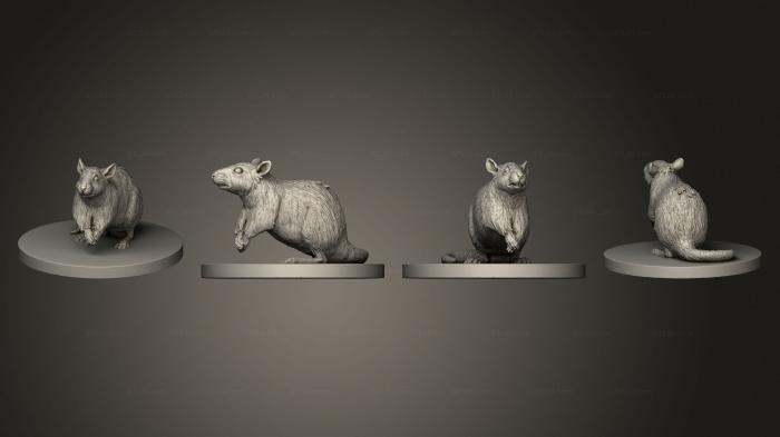 Статуэтки животных (Крыса Закончила, STKJ_3040) 3D модель для ЧПУ станка